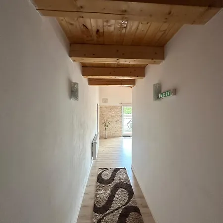 Pensiunea Alexandra Livia 3* Borşa