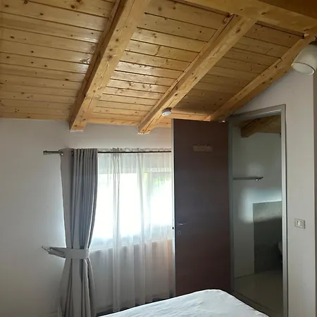 Pensiunea Alexandra Livia Affittacamere 3*