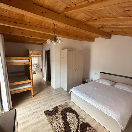 Pensiunea Alexandra Livia Maison d'hôtes Borşa