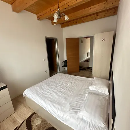 Maison d'hôtes Pensiunea Alexandra Livia Borşa