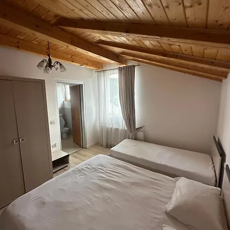 Pensiunea Alexandra Livia 3*